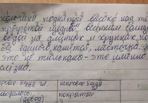 Выписать слова с проверяемыми безударными гласными и неправеряемыми гласными