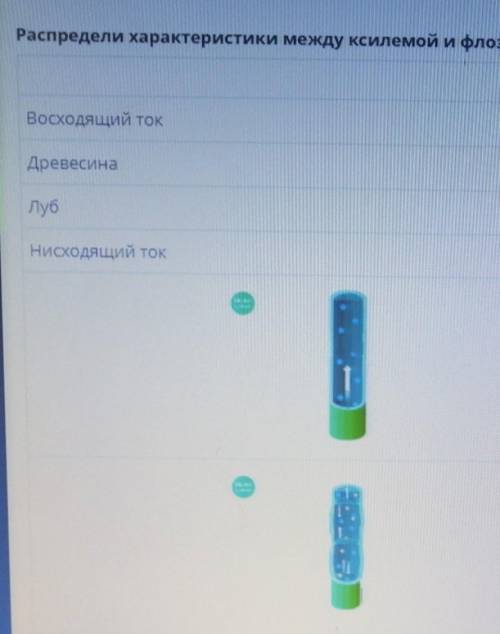 Мог бы полную таблицу сделать, но тут такого нельзя 