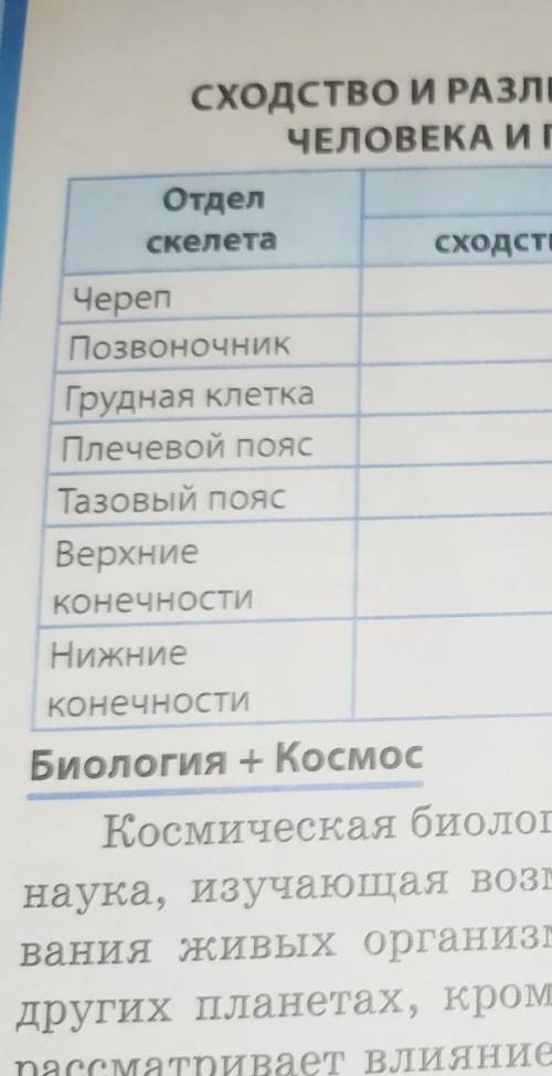 Сходства и различние скелета человека и гориллы