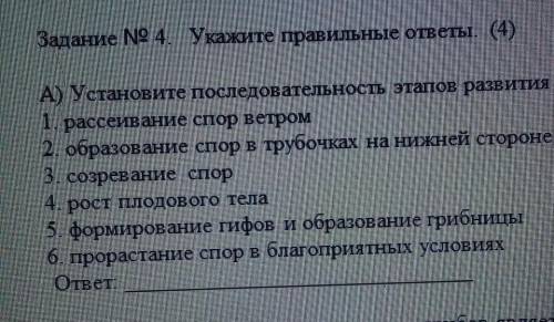 Установите последовательность этапов развития белого гриба