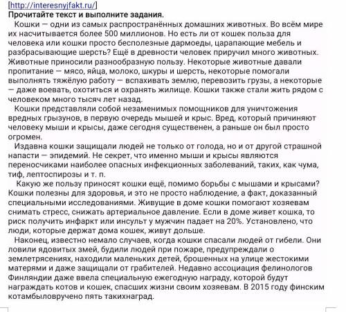 Опишите, чем полезны кошки для человека.