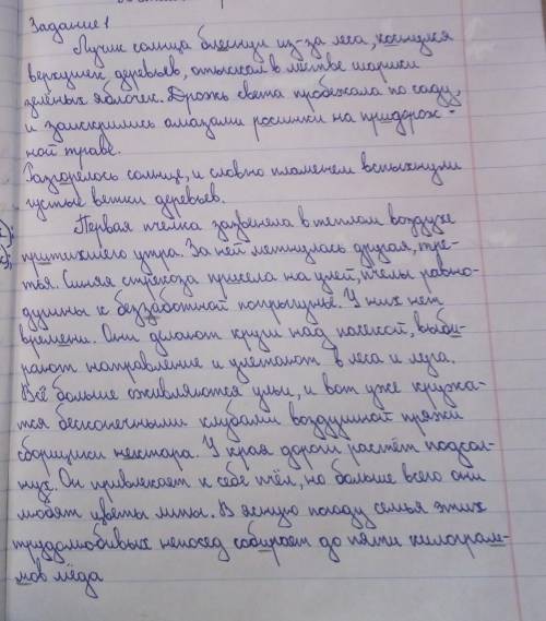 Определите тему, идею, тип речи и стиль речи в тексте 