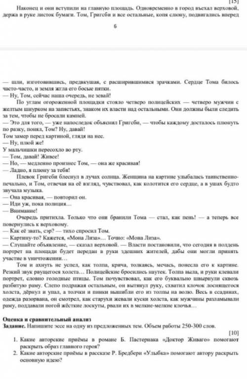 ПАМОГИТН СОЧ ПО РУССКОМУ ЯЗЫКУ 