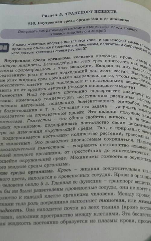 Пар-ф 16 вопросы ключевые слова