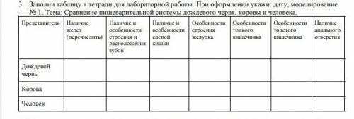 Сравнение пищеварительной системы дождевого червя, коровы и человека