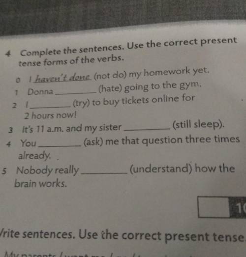 Complete the sentences. use the correct present tense forms of the verbs.