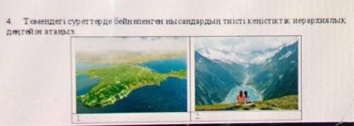 Темендегі суреттерде бейнеленген нысандардың тиісті кеңістіктік. иерархиялык,дитини ин атаны