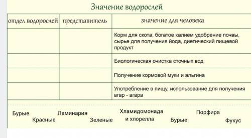 Сделайте таблицу по биологии (тема водоросли), расставив слова ниже
