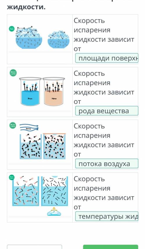 Правильно расположи факторы, влияющие на скорость испарения жидкости.