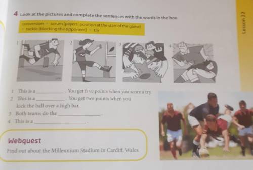Look at the pictures and complete the sentences with the words in the box