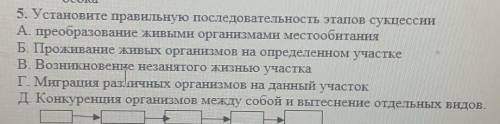 Биология биология биология 