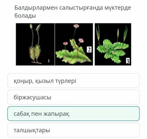 Балдырлармен салыстырғанда мүктерде болады, ТЖБ БИОЛОГИЯ На, берите 