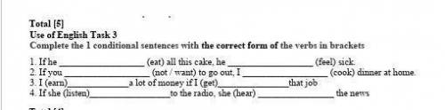 Complete the I conditional sentences with the correct form of the verbs in brackets