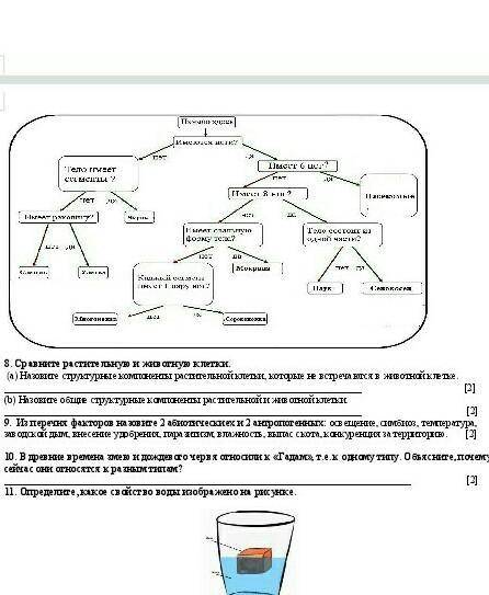 Сравните растительную и животную клетку