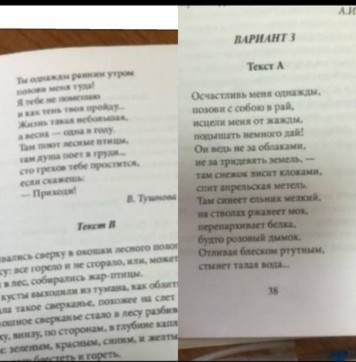 Напиши мини сочинение нужно, и анализ 