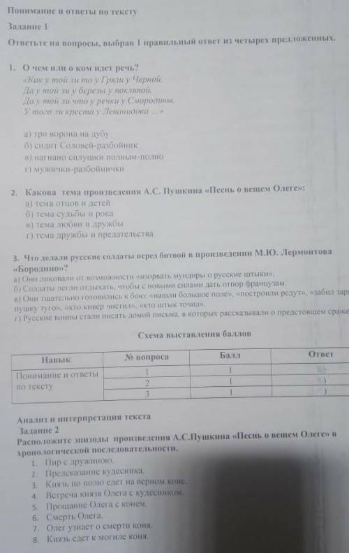 СОЧ ПО РУСКОЙ ЛИТЕРАТУРЕ 