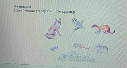 Сурет бойынша үш қоректік тізбек 