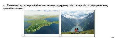Суреттерге бейнеленген нысандардың тиісті нерархиялық дейнгейін атаңыз Көмек керек