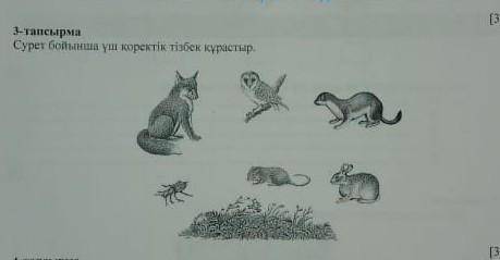 Сурет бойынша қореттік тізбек құрастыр