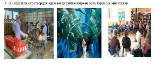 Берилген суреттерден адам ози калыптастырган орта турлерин аныктаныз