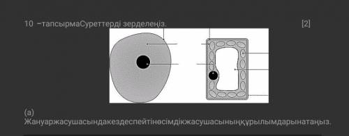 Суретті зерделеңіз көмектесіңдершіі тезіреек