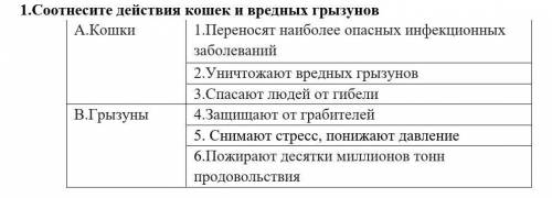 ДЕЙСТВИЯ КОШЕК И ВРЕДНЫХ ГРЫЗУНОВ