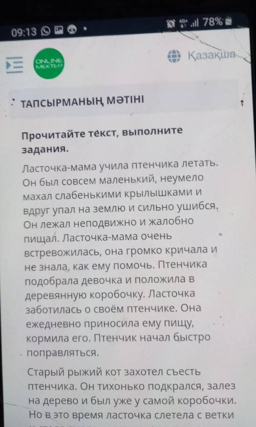 Какую роль играет мама-ласточка ? приведите два примера из теста 
