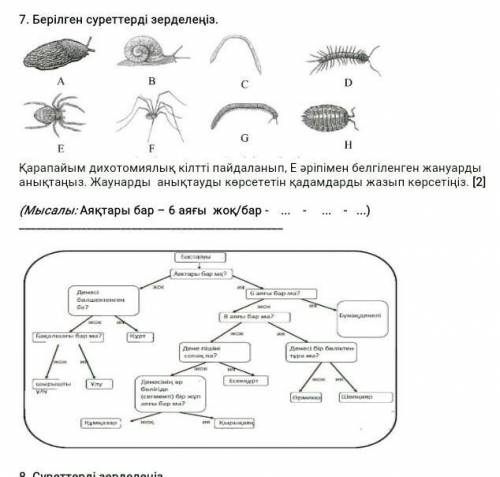 Берілген суретті зерделеңіз