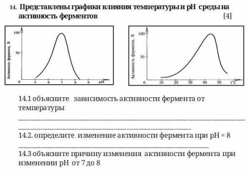Представлены графики влияния температуры и рН среды на активность ферментов 