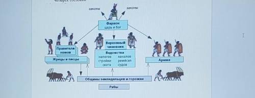 Составь 2 толстых вопроса по несплошному тексту 