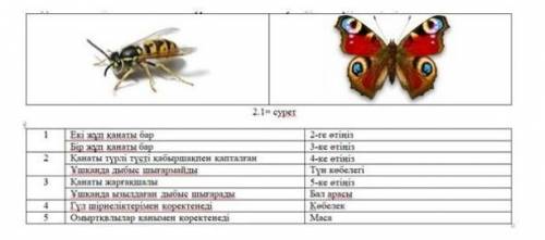 Дихотомиялық кілт көмегімен 2.1 суретте бейнеленген бунақденелілерді анықта.