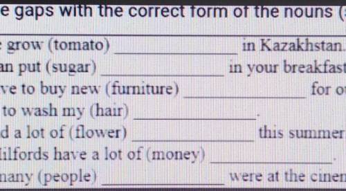 Fill the gaps with the correct torm ot the nouse (singular or plural)