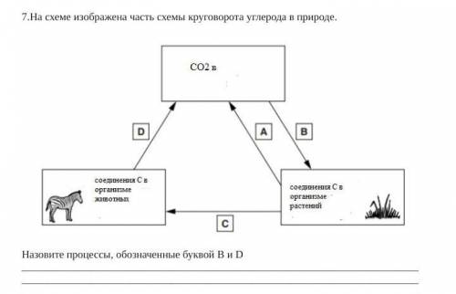 буду очень благодарна надо