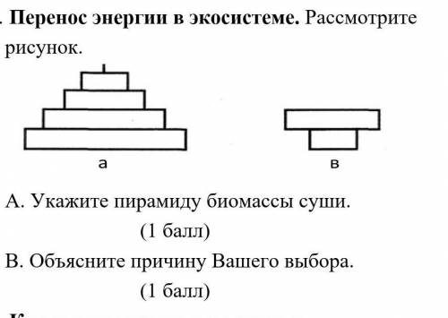 Перенос энергии в экосистеме рассмотрите рисунок 
