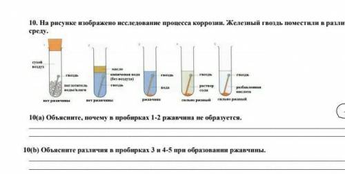 Объясните различия в пробирках 3 и 4-5 при образования ржавчены 
