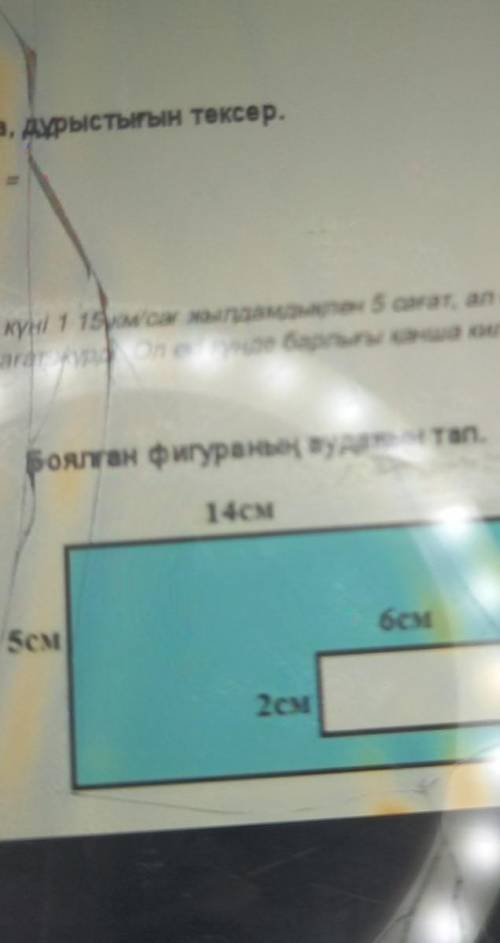 Боялған фигураның ауданын тап