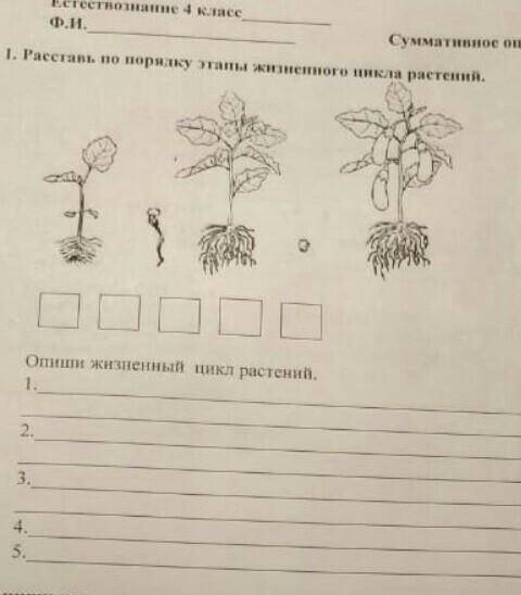 это Соч по естествознанию