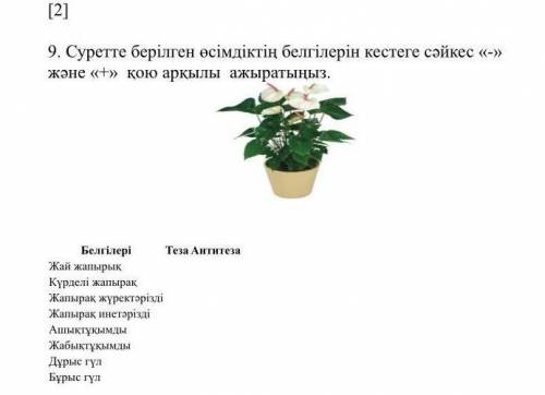 Суретте берилген осимдиктин белгилерин кестеге сайкес- жане+ кою аркылы ажыратыңыз 