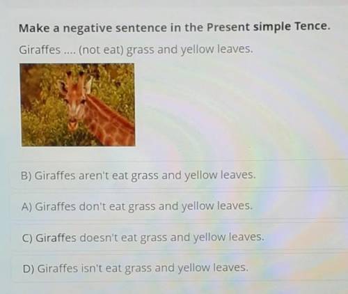 Make a negative sentence in the Present simple Tence. Giraffes (not eat) grass and yellow leaves.B)