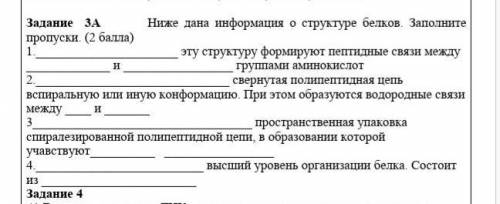 Ниже дана информация о структуре белков Заполните пропуски.