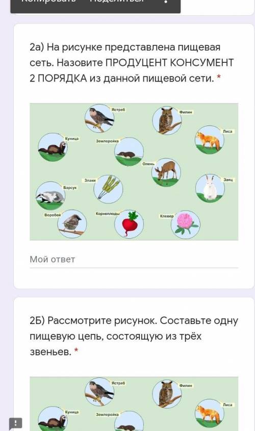 На рисунке представлена пищевая сеть. Назовите ПРОДУЦЕНТ КОНСУМЕНТ 2 ПОРЯДКА из данной пищевой сети