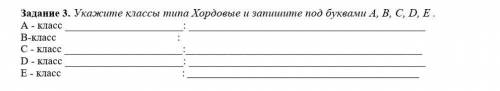 Укажите классы типа Хордовые и запишите под буквами А, В, С, D, E . 