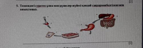 Жду,ответ заранее за правильный ответ