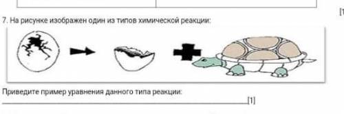 На рисунке изображён один из типов химической реакции рисунок черепаха яйцо