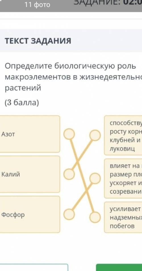 Определите биологическую роль микроэлементов в жизнедеятельности растений