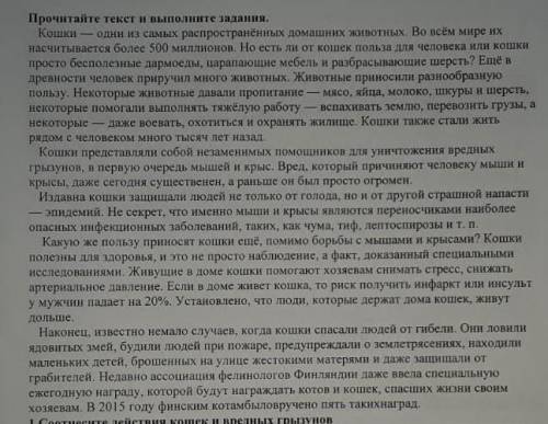 Сформируйте два вопроса, направленные на оценку содержания текста. Характирезуещие кошку. 