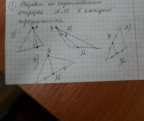 Назови по окрашиванию отрезок A M в каждом треугольнике