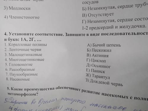 нужно Установите соответствие. Укажите цифра-буква