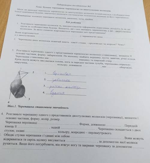 Сделайте лабораторку по биологии 7 класс​