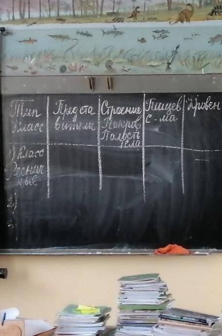 Биология 7 класс зделайте таблицу тип плоские черви 